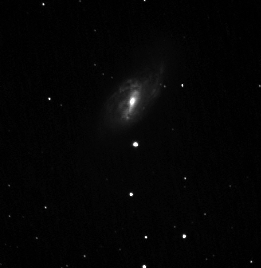 C8 EdgeHD CGEM Olivier Batteux galaxie M66