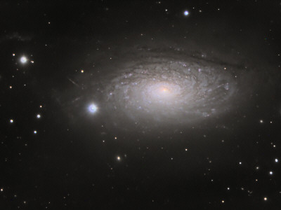 M63