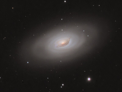 M64