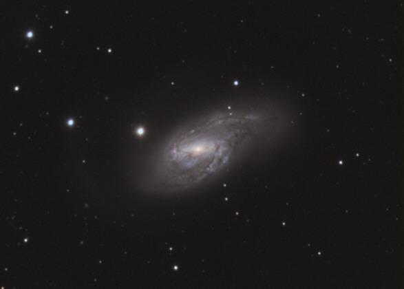 M66