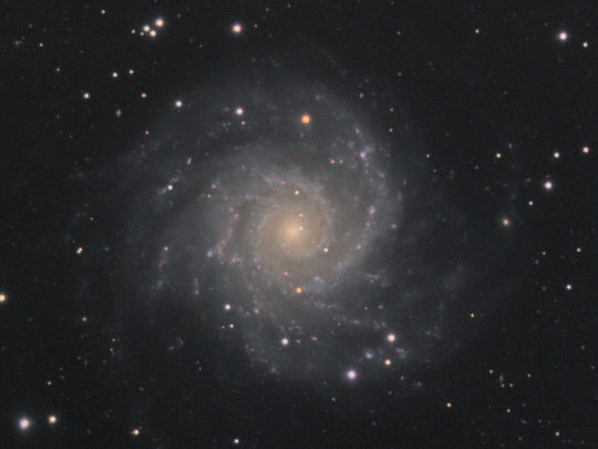 M74