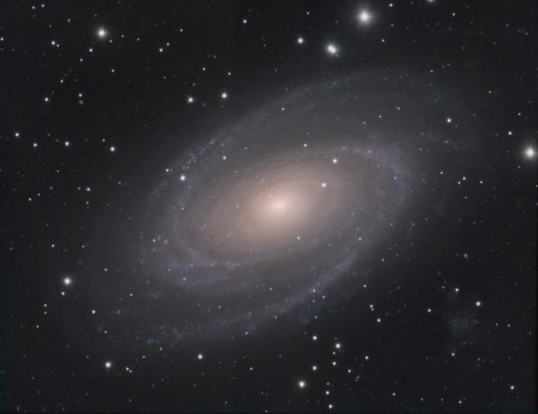 M 81