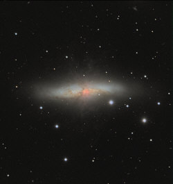 M82