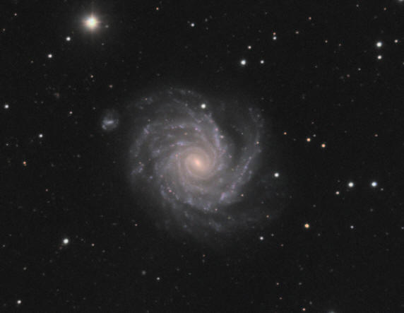 NGC 1232