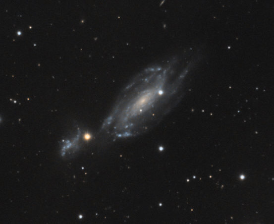 NGC 1253