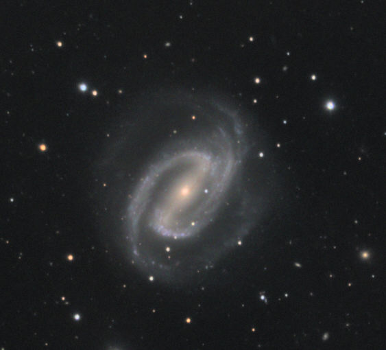 NGC 1300