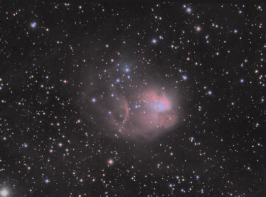 NGC 1931