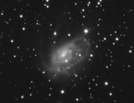 NGC 1961