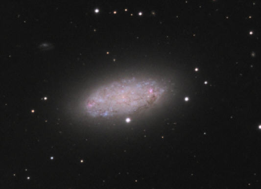 NGC 2976