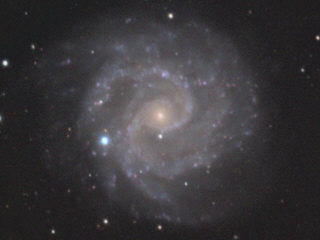 NGC3184