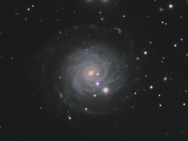 NGC3344