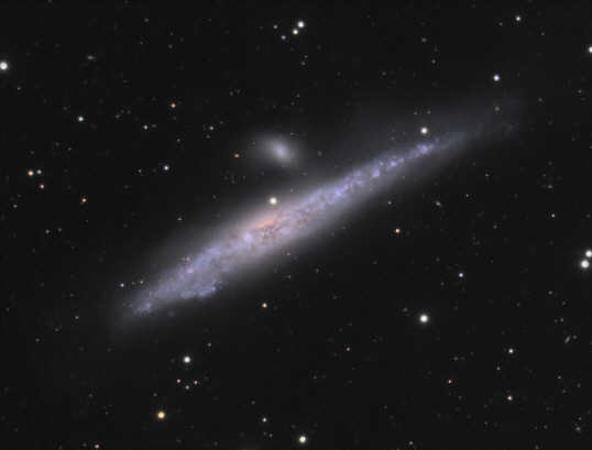 NGC4631