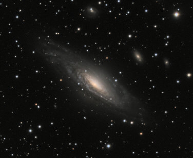 NGC7331